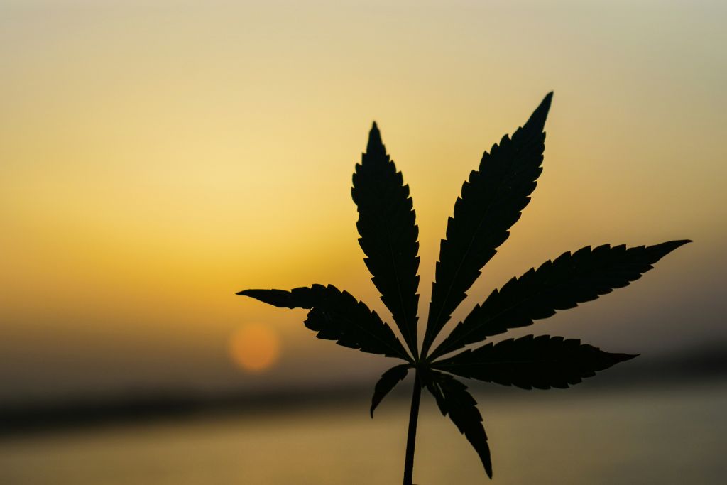 HR manager reviewing drug-free workplace policy in Idaho while considering marijuana laws in neighboring states.